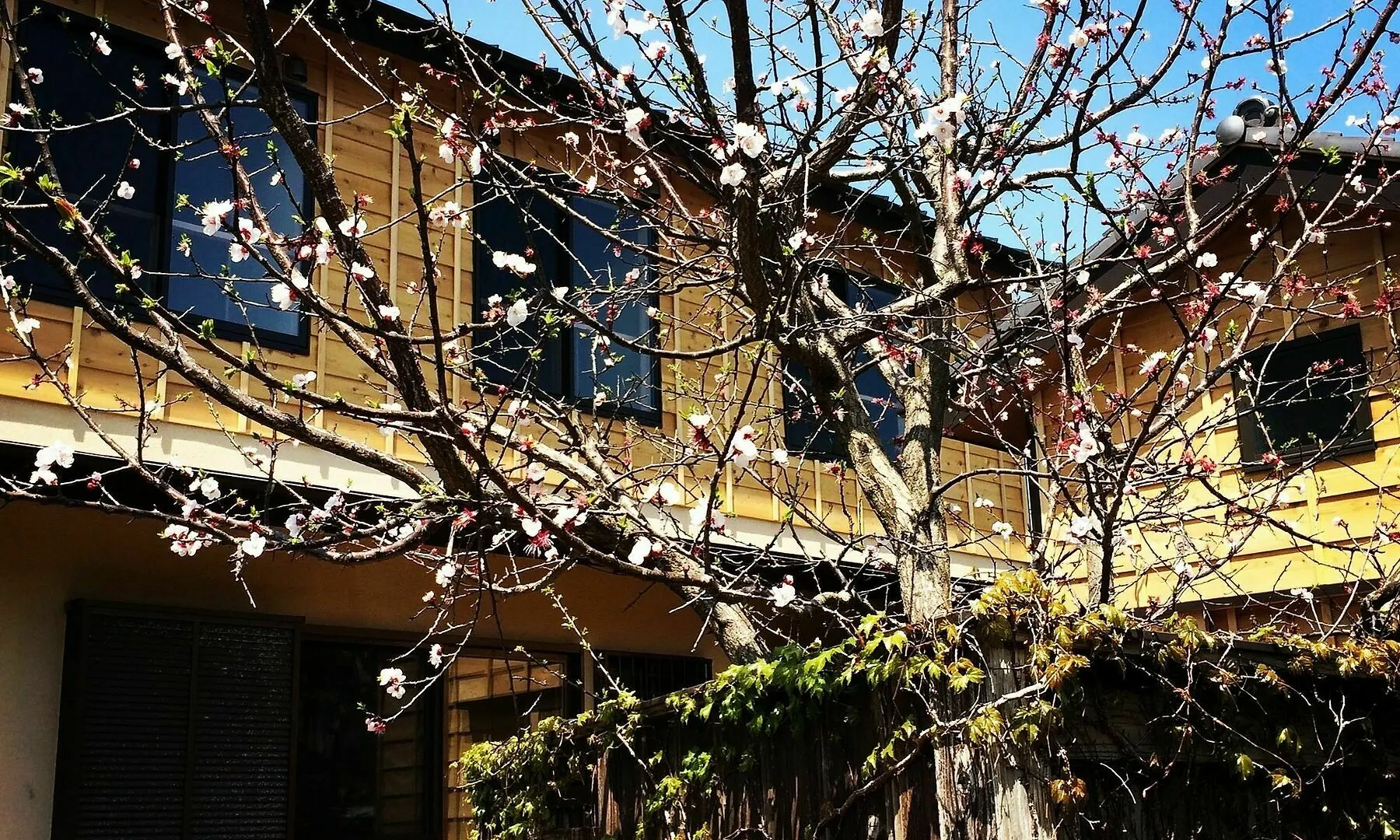 Guest House Kamakura Zen-Ji